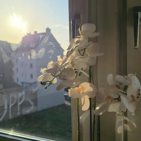 Altstadtnaehe Sauna-infrarot 2 Schlafzimmer Aparthotel Koblenz (Rhineland-Palatinate)